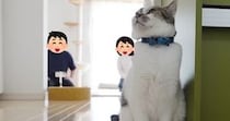 猫はパパとママ『どちらを選ぶ？』→同時に呼んでみた結果…笑ってしまう『夫婦バトルの様子』に「なんて平和な戦いｗ」「面白すぎて爆笑」の声