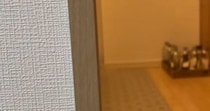 キッチンに並べられた『水の入ったペットボトル』→近づいてみると…予想外の『かわいい光景』が16万再生「満足そうｗ」「たまらなく愛おしい」