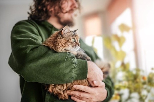 猫を抱いて外を見る男性