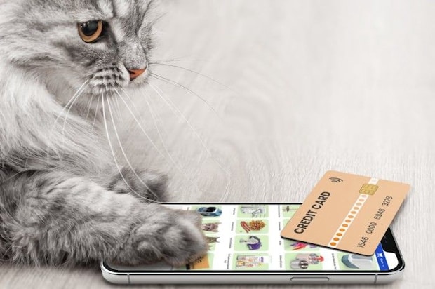 スマホで買い物する猫