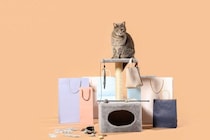 猫の飼い主が『買ってから後悔』しやすいアイテム5選　失敗しがちな原因や選び方のコツ