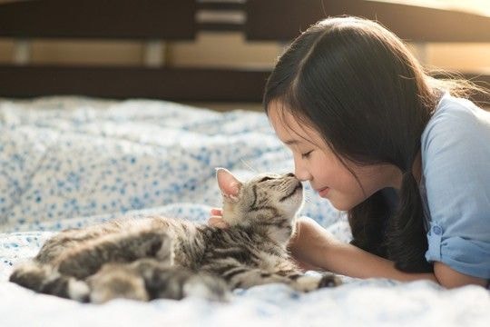 『愛猫に助けてもらった』と実感する瞬間4選 猫の存在が心の支えになるのはどんなとき?