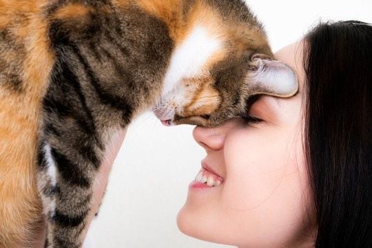 『たくさん愛情を注がれた猫』だけがみせる仕草や行動5選　あなたの愛猫はどう？上手な応え方まで解説