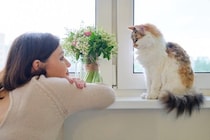 猫を『ニックネーム』で呼んでも問題ない？　愛称を使うときに気をつけるべきポイント3つ