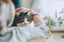 猫が『泣いている飼い主』のそばに寄り添う理由3つ　心配してくれている？やりがちな反応や仕草の意味も