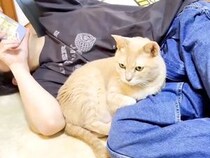 男の子にピッタリ寄り添う猫→『犬みたい』と言われると…思わずほほえんでしまう『愛おしい光景』に反響「ほっこり」「落ち着くんだろうね」