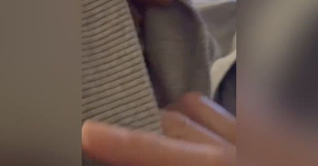 『服の中に入って遊んでいた猫』→顔を出してあげようと、袖口を広げたら…まさかの瞬間が26万再生「にぃーーー」「めちゃくちゃかわいいｗ」