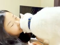 女の子のことが大好きな白猫→名前を呼ばれるとほおずりして…想像以上に愛にあふれた『ふたりの時間』に「最高だね」「ほんとラブラブ」の声
