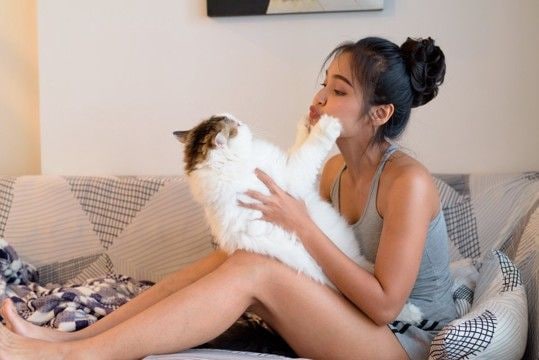 猫が飼い主のことを『嫌っている』サイン5選　避けられてしまう理由や関係改善のコツも