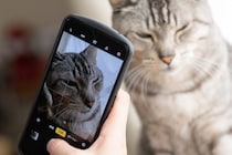 自分の『猫愛の強さ』に気付く瞬間4つ　猫好きなら共感できる、あるある現象とは？