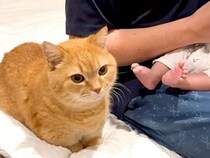 赤ちゃんにミルクをあげるパパ→猫が甘えたそうな様子で…圧倒的に尊い『順番待ちをする光景』に「一挙一動が可愛い」「愛おしいね」と反響