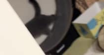 早朝から『キャットホイールを回し始める猫』→見られていることに気づくと…笑ってしまう反応に反響「表情がたまらなく可愛い」「み、みてたな」