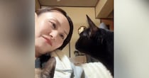 黒猫と見つめあう飼い主さん→首をかしげてみると……『まさかの展開』が可愛すぎると17万再生「ラブが溢れてる」「人生で一番高い声出た」
