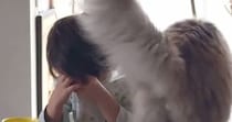 椅子に座って『泣いている息子』に……愛猫が見せた『優しい行動』に胸が熱くなると98万再生「ジーンときた」「きっと分かるんだろうね」