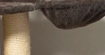 キャットタワーのハンモックを見たら、子猫が…まるでかくれんぼ中のような『尊すぎる光景』に１万いいね「かわちぃぃぃ」「一緒に遊びたい」