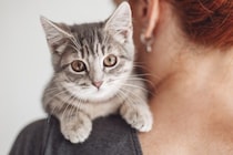 猫と暮らしてから気付く『理想と現実』のギャップ4選　想像以上に大変？飼う前に備えておくべき心得