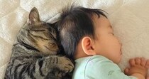 仲良くお昼寝中の『猫と赤ちゃん』→布団をめくってみたら…まさかの『シンクロしている光景』が101万再生「双子かな？」「同じサイズｗ」