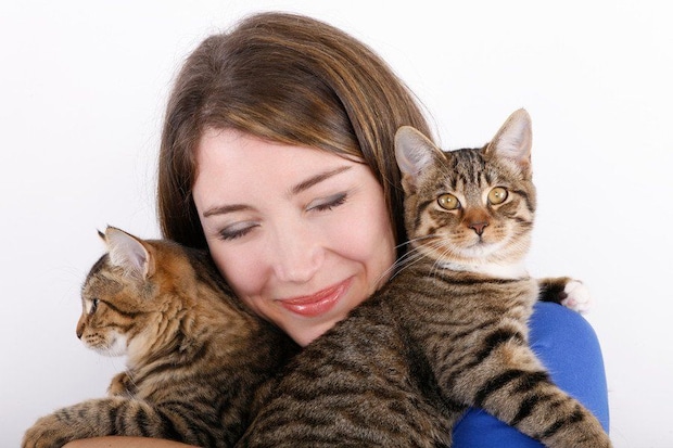 そっくりな2匹の猫を抱く女性