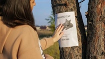行方不明の愛猫がやっと戻ってきた…その３週間後、もう１匹同じ猫が現れた⁉　飼い主さんの「びっくり体験」にネット民ざわつく