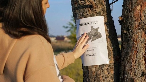 行方不明の愛猫がやっと戻ってきた…その3週間後、もう1匹同じ猫が現れた⁉ 飼い主さんの「びっくり体験」にネット民ざわつく
