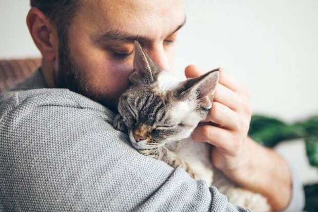 人に抱きかかえられている猫