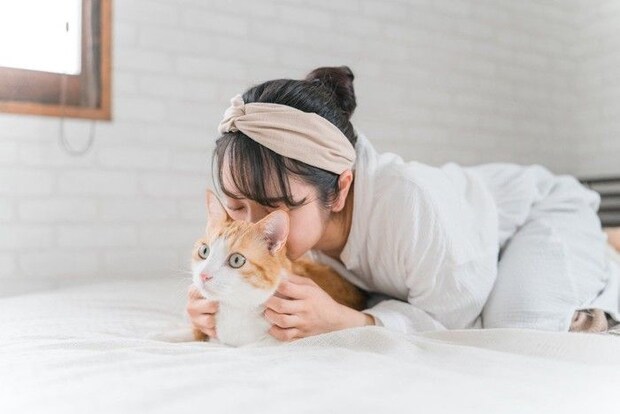 可愛い猫
