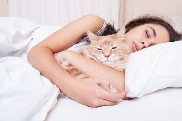 寝る女性と猫