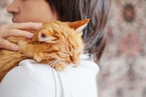 猫が『我慢している』ときにみせるサイン7つ　ケガや病気を隠していることも？気付くためのポイントまで