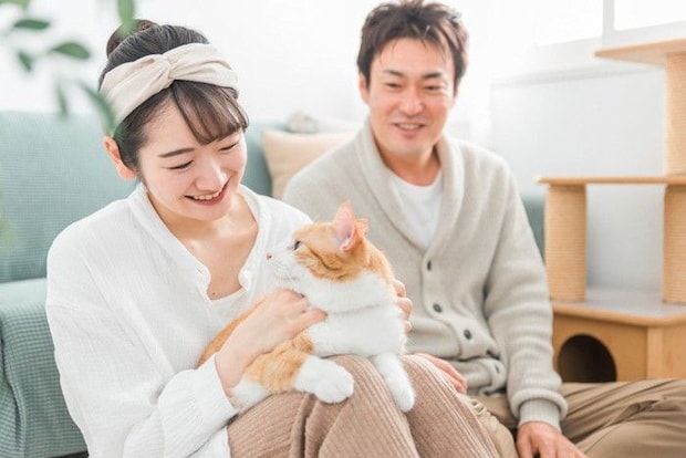 猫と夫婦