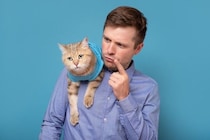 猫に伝わりやすい『褒め方・叱り方』の方法3つ　誤った方法では逆効果に？やってはいけないNG行為も