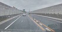車の運転中、道路の端に『小さな子猫』を発見…驚きの瞬間と保護された『現在の様子』に感動の声「よく気が付いてくれた」「ありがとう」