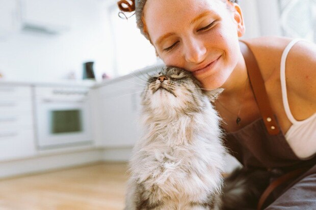 女性に甘える猫