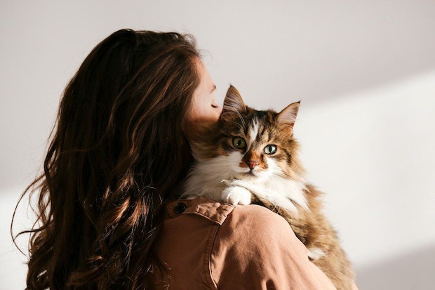 長毛種の猫を抱く女性