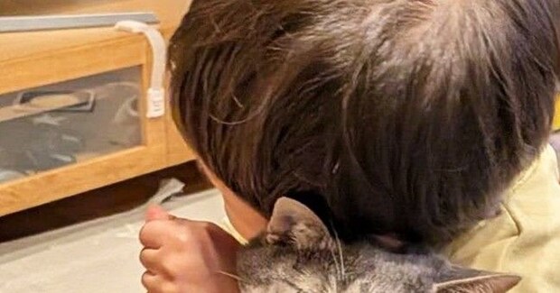 男の子に抱きしめられた猫→『表情』を見たら……笑ってしまう『まさかの光景』に1万いいね「愛が重すぎるのかw」「幸せなんだろうねw」