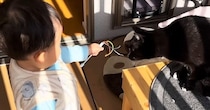 赤ちゃんのそばを離れないネコ→まるでボディーガードのようで…微笑ましい日常の光景に「いいお兄ちゃん」「可愛すぎてほっこり」と反響