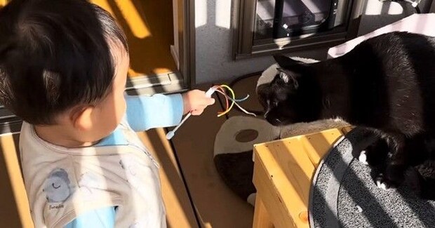 赤ちゃんのそばを離れないネコ→まるでボディーガードのようで…微笑ましい日常の光景に「いいお兄ちゃん」「可愛すぎてほっこり」と反響
