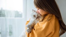猫を嗅ぐと『いい匂い』がする3つの理由　お風呂に入っていないのになぜ？不思議な香りのヒミツをご紹介