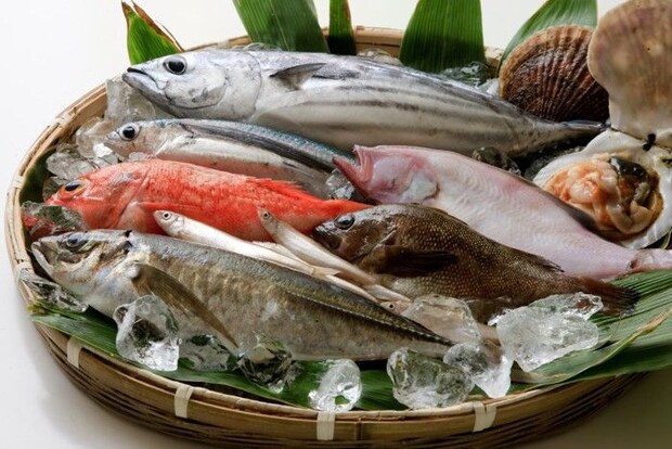 魚集合！
