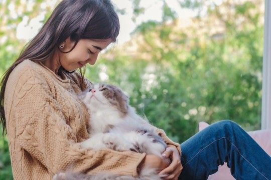 猫のことが大好きな『有名人』5選　愛猫家として知られるエピソードや活動内容などをご紹介