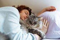 猫が飼い主の『腕の中で寝たがる』理由4つ　安心してくれている証？上手に対応するコツまで