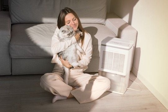 『猫アレルギー』になったときの症状5つ 愛猫との生活を維持するための対策まで