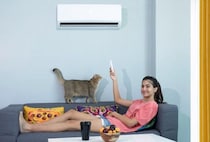 猫が『クーラー病』になると表れる症状4つ　冷やしすぎには要注意？飼い主が気を付けるべきこと