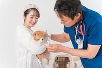 猫が『入院することになる』4つの原因　治療や検査が必要なケースとは？備えておきたいことも