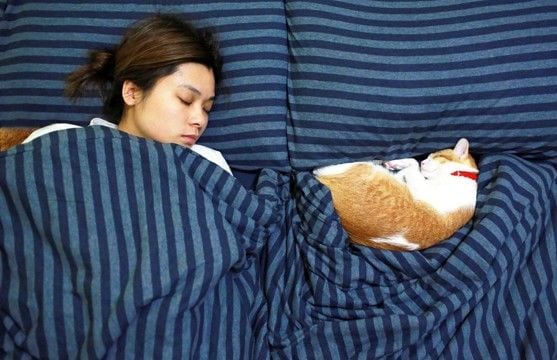 猫が飼い主に『おしりを向けて眠っている』ときの理由5つ どんな人が見られるの?隠されている心理も解説