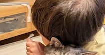 男の子に抱きしめられた猫→『表情』を見たら……笑ってしまう『まさかの光景』に１万いいね「愛が重すぎるのかｗ」「幸せなんだろうねｗ」