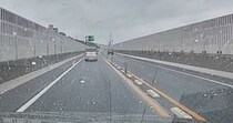 車の運転中、道路の端に『小さな子猫』を発見…驚きの瞬間と保護された『現在の様子』に感動の声「よく気が付いてくれた」「ありがとう」