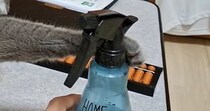 くつろいでいた猫→スプレーボトルをそっと前足に押し当てたら…『微笑ましいやり取り』に反響「地味にツボったｗ」「伸びきったあんよ好き」