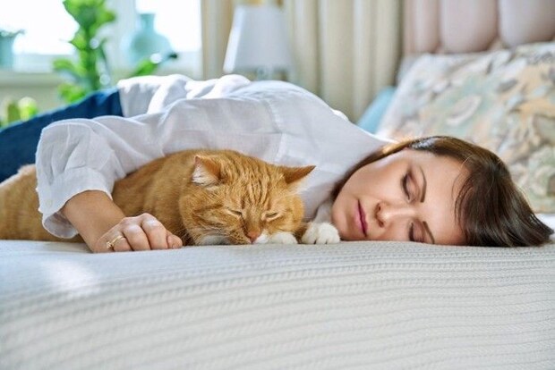 同じポーズで寝ている猫と女性
