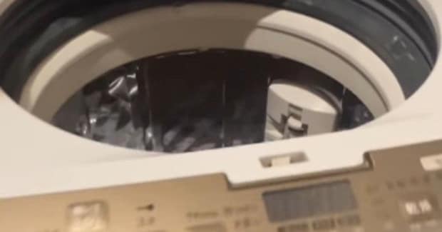 洗濯機に入った猫→飼い主が中を覗くと……ビックリしてしまう瞬間に15万いいね「本気を感じるｗ」「思わず叫んでしまったｗ」と話題に