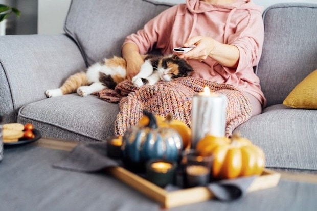 女性の横で寝る猫